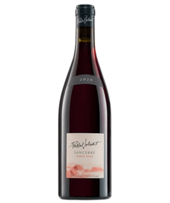 Pascal Jolivet Sancerre Nature Pinot Noir