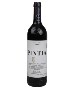 Pintia 2019